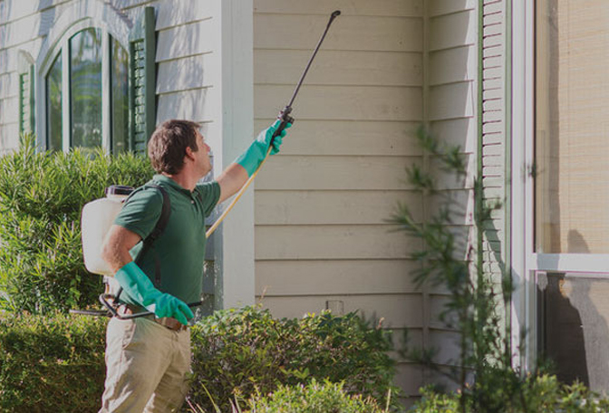 Commercial Pest Control Expert is Spraying