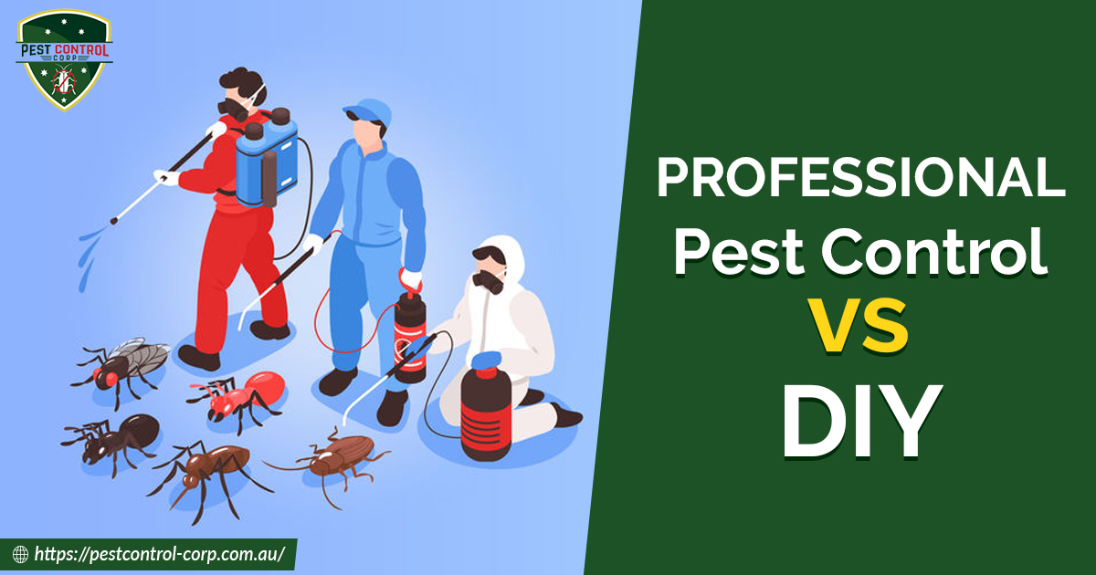 Professional Pest Control vs DIY