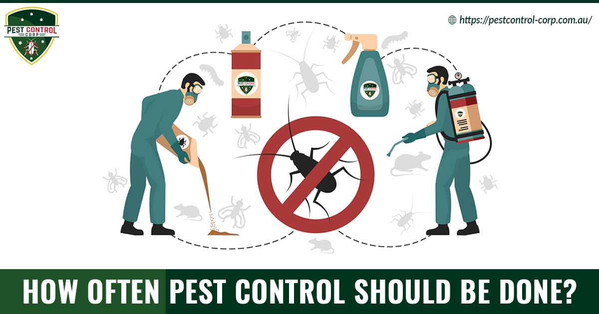 How Often Pest Control Should be Done