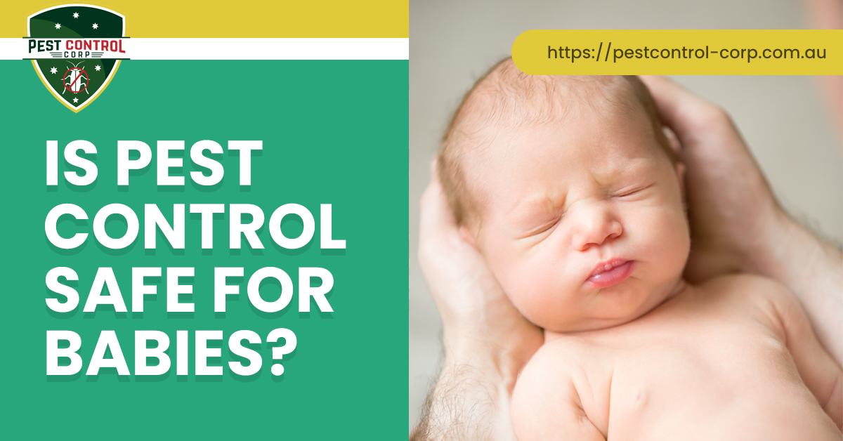 Is Pest Control Safe for Babies
