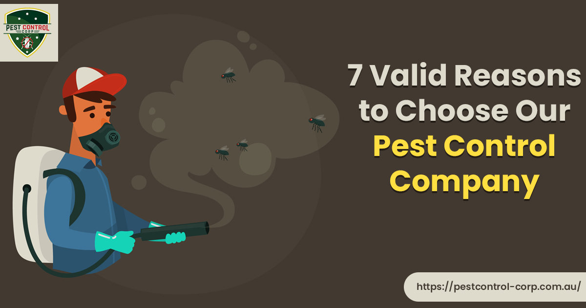 Reasons to Choose Pest Control Company