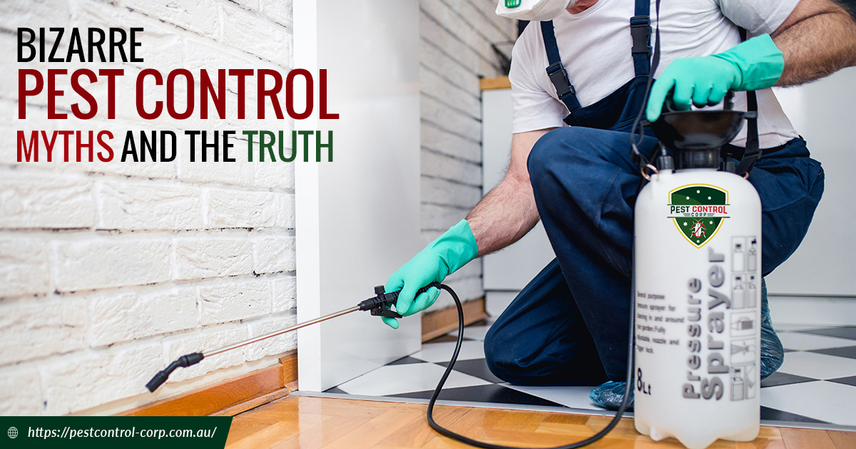 Pest Control Myths & Truth