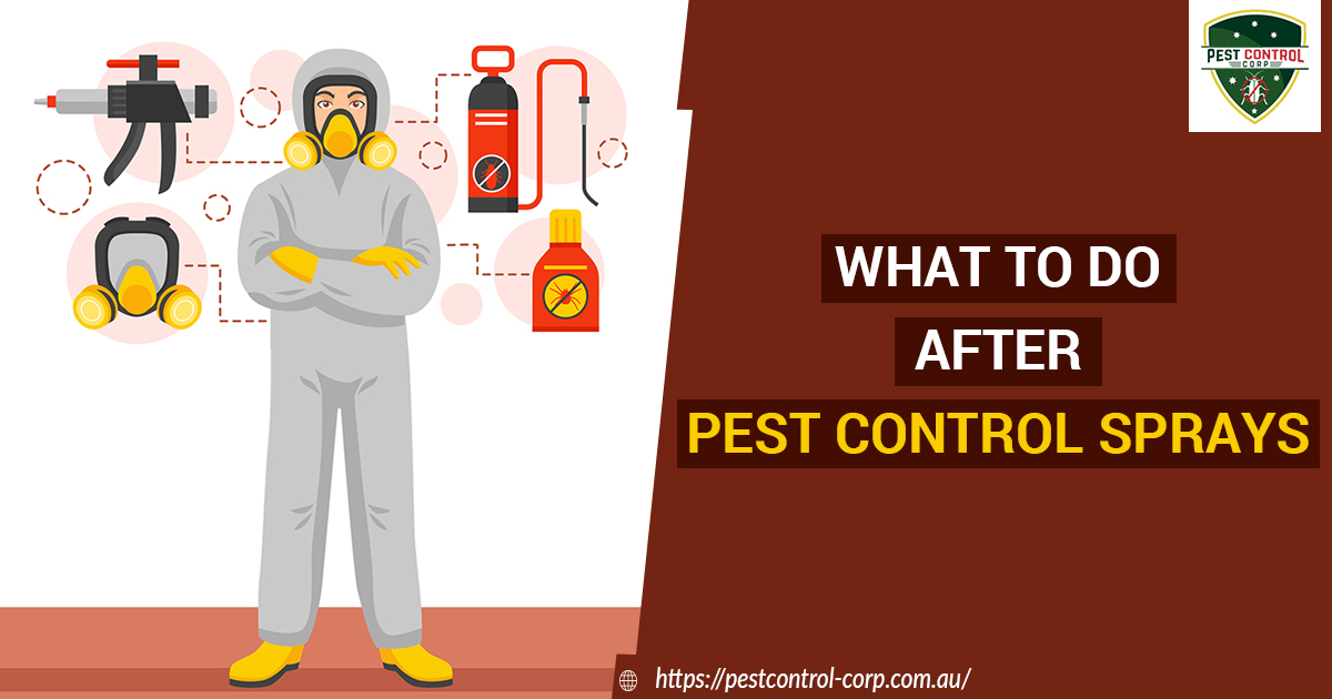 What to Do after Pest Control Sprays
