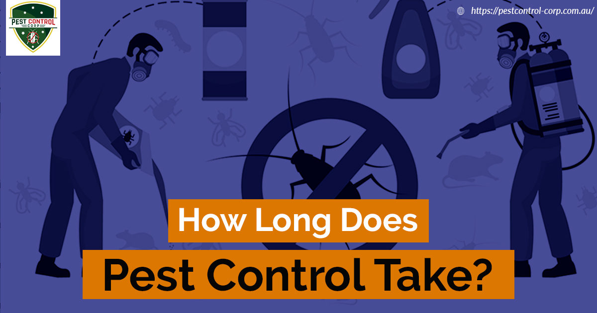 How Long Does Pest Control Take