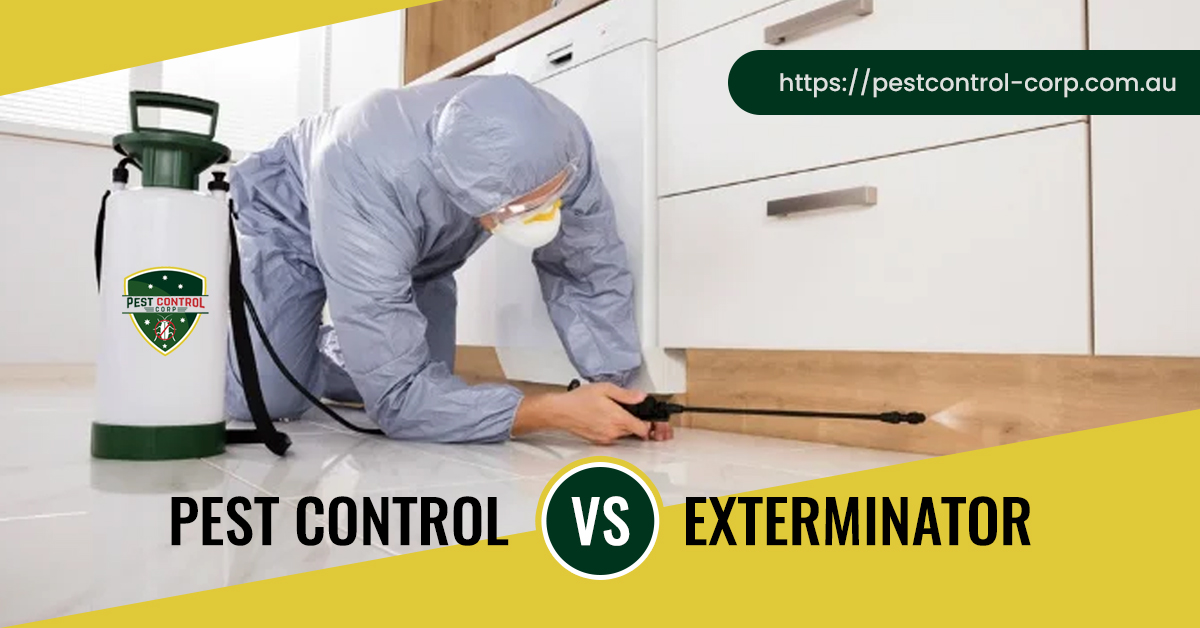 Pest Control vs Exterminator