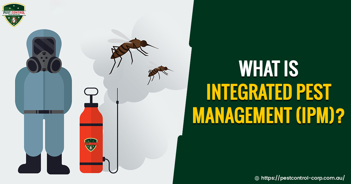 What is an Integrated Pest Management