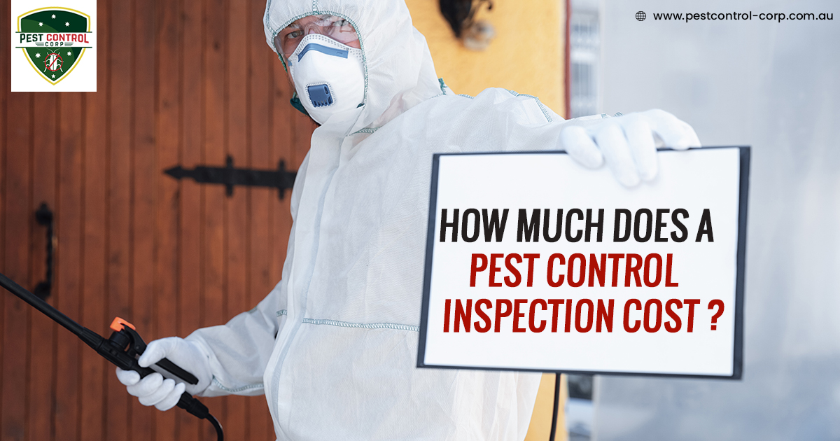 How Much Does a Pest Control Inspection Cost