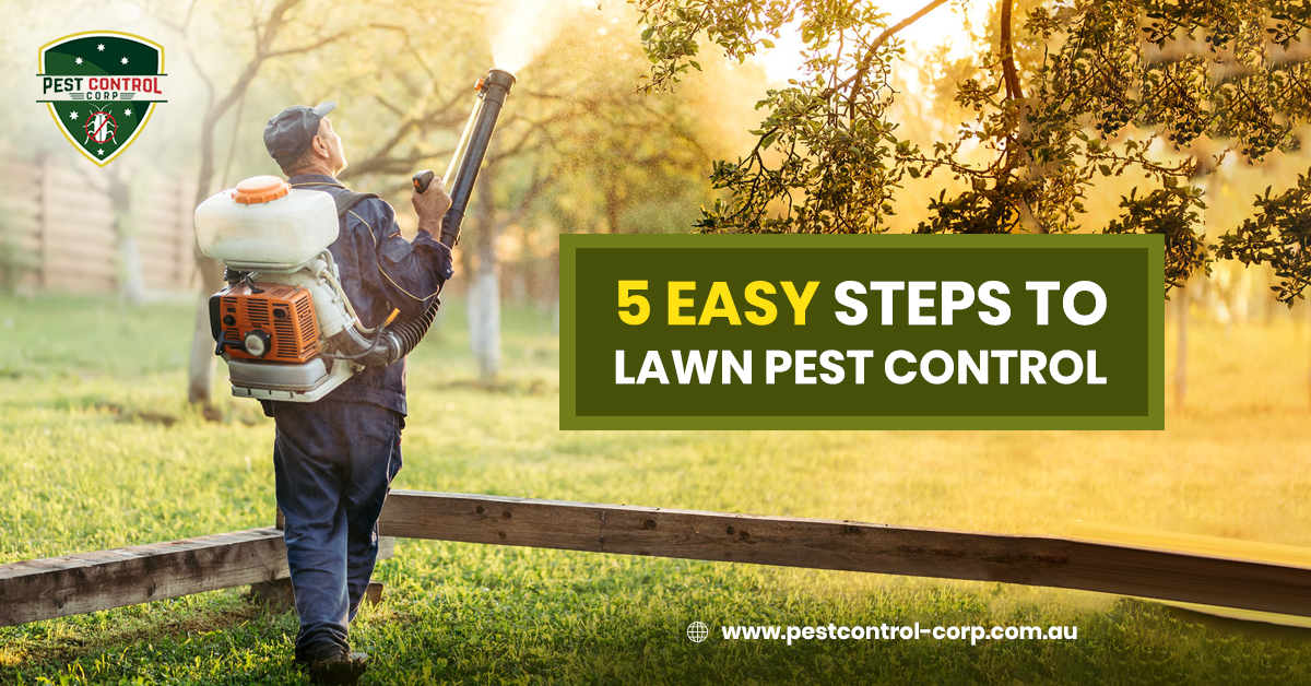 Lawn Pest Control