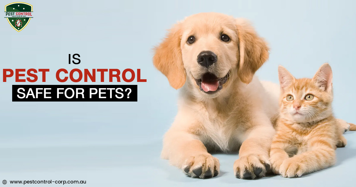 Is Pest Control Safe for Pets