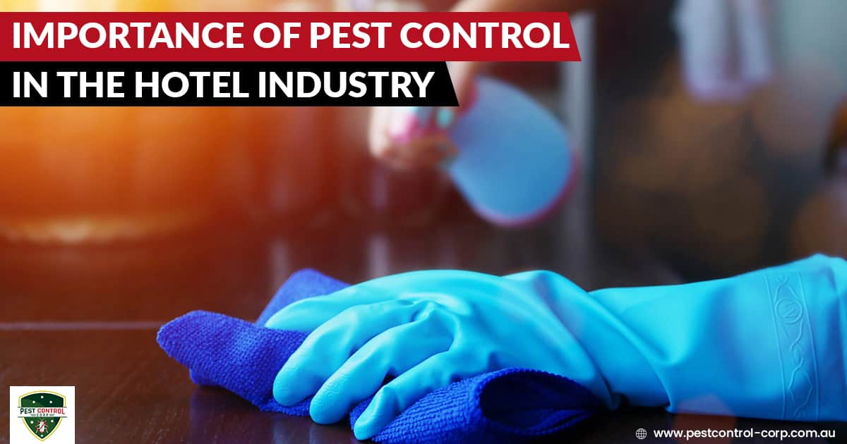 Importance of Pest Control in Hotel Industry