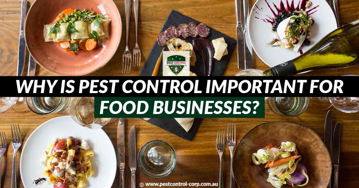 Importance of Pest Control in Food Industry