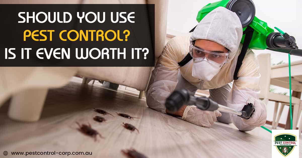 Is Pest Control Worth It