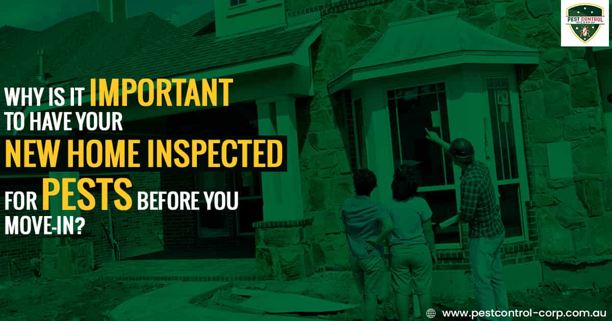 Why is it important to have new home Inspected for pests before you move-in